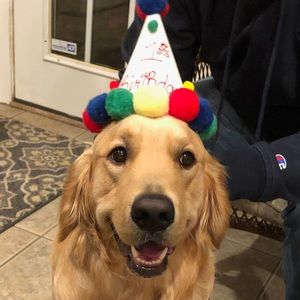 Meet your Posher, Trinity